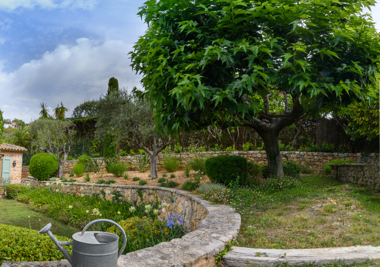 _DSC5539-Panorama-Modifier